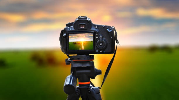 What Photographers Can Expect on an Alaskan Cruise