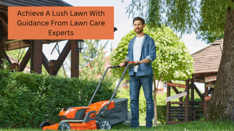 Lawn Care Experts