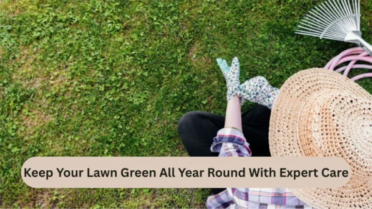 Your Lawn Green