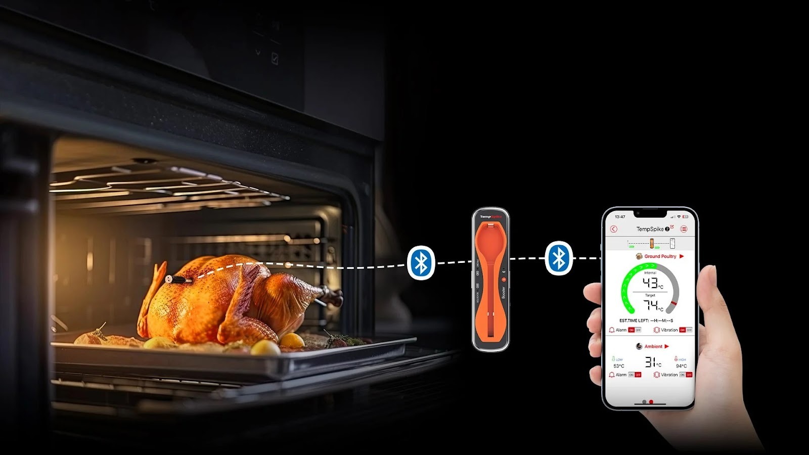 Cook Turkey without Burning It