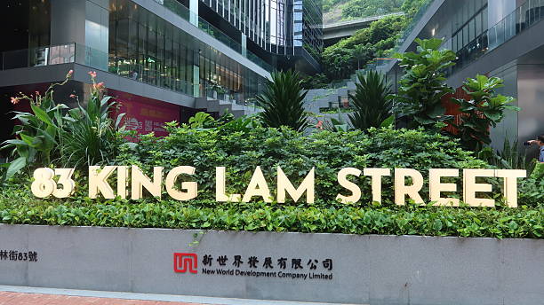 Hong Kong Stellar Innovations Limited