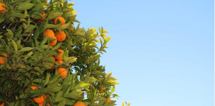 How AI-Powered Recommendations Are Personalizing Our Free Time